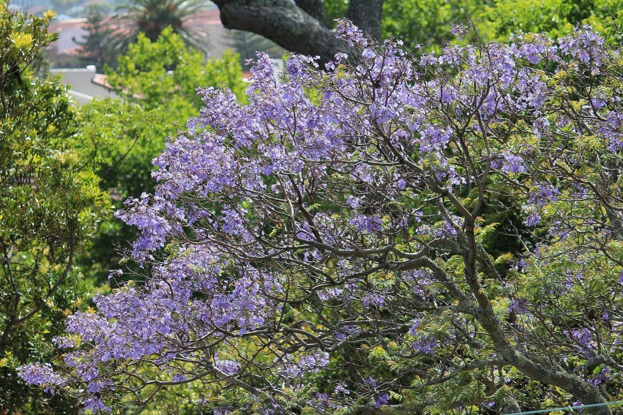Casa de hóspedes De Tafelberg